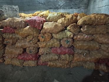 таза порошок: Картошка Дүңүнөн — 2