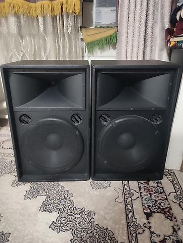 Профессиональный звуковой комплект для мероприятий Состав: - Пара