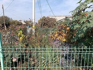 Недвижимость: Продаю дом в районе киркомстром. По номеру телефона доступен только — 2