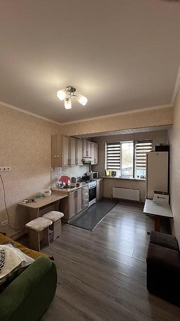 57 1: 1 комната, 47 м², 105 серия, 3 этаж, Евроремонт — 7