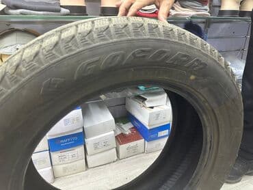 шина гофорум: Шины 245 / 55 / R 19, Зима, Б/у, Комплект, Внедорожные (АТ/МТ), Китай, Goform — 4