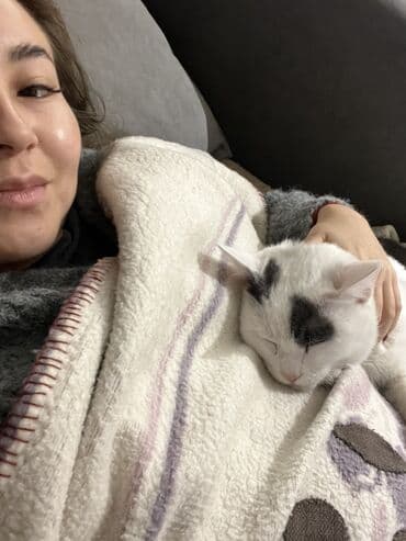 купить курицу домашнюю: Беспородная, 8 месяцев, Мальчик, Биколор, Кастрирована, Приучена к лотку, Проглистована — 5