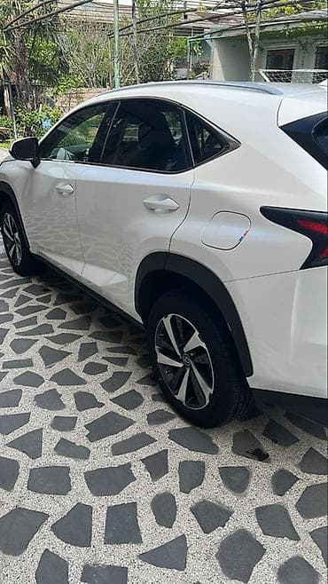 Транспорт: Lexus NX: 2021 г., 2 л, Автомат, Бензин, Кроссовер — 3