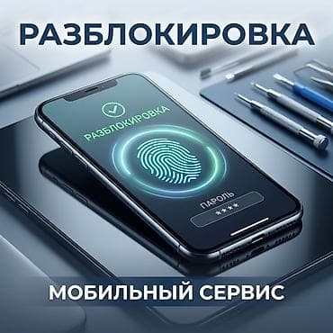 мобильный терминал: Мобильный сервис: разблокировка, прошивка и перенос данных — 4
