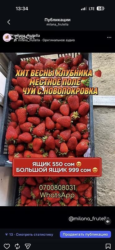 арбузы с поля: Клубника В розницу — 3