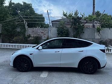 Tesla Model Y: 2023 г., 4.4 л, Автомат, Электромобиль, Кроссовер — 6