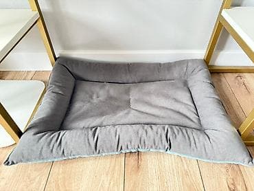 Отдам даром кошку: Кошка даром: Британская короткошёрстная, 4 года, Девочка, Кастрирована, Метис, Приучена к лотку — 8