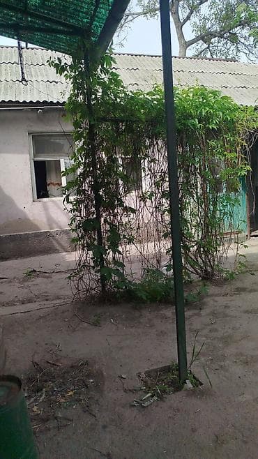 samsung galaxy a5 2016: Уборка территории, Уборка двора и сада — 5