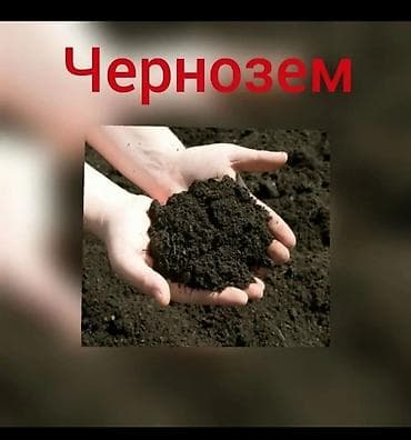 В тоннах, Бесплатная доставка, Зил