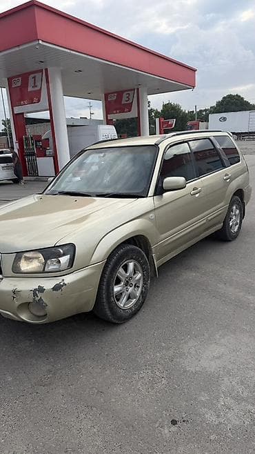 outback 2017: Subaru Forester: 2003 г., 2 л, Автомат, Бензин, Универсал — 4