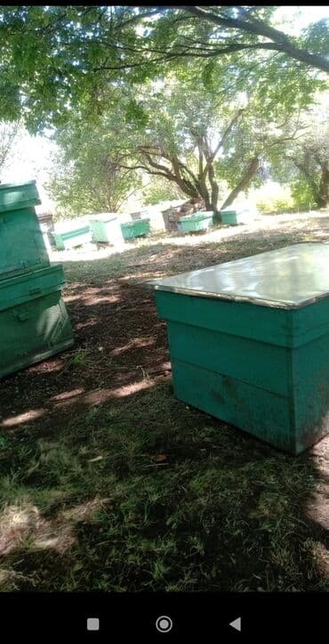 установка газа дома бишкек: Улей для пчел, выполненный из дерева и предназначен для содержания — 1