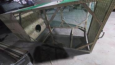 клетки для цыплят: 🔥🔥🔥Цена от 15.000 и выше смотря какая начинка и размеры Курятник с — 3