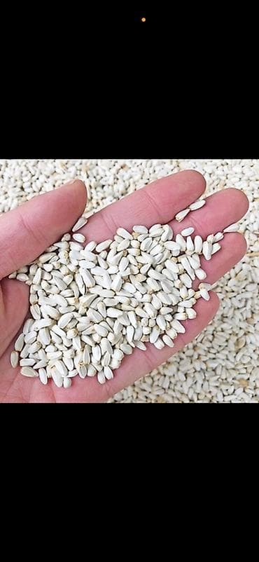 ат минуу: Куплю сафлор — 1