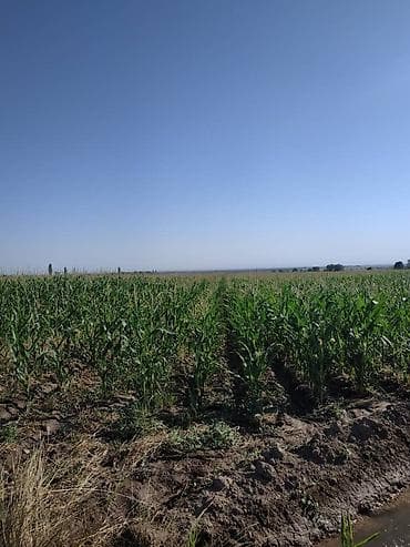 Продажа участков: 11 соток, Генеральная доверенность — 6