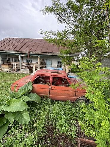 Унаа сатып алуу: Сатылат.🤝 — 1