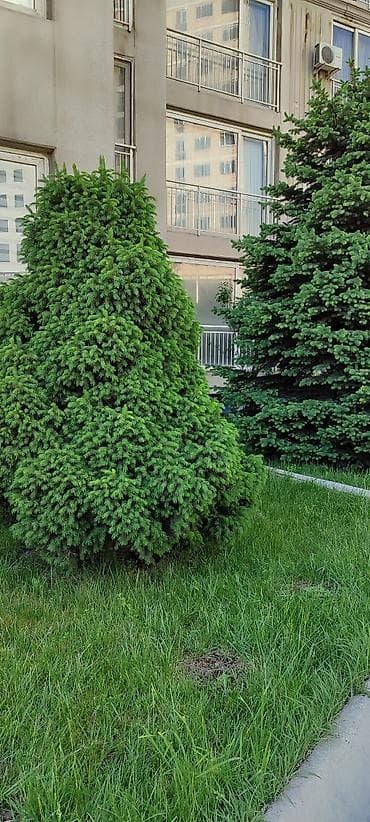 Продажа квартир: 3 комнаты, 87 м², Элитка, 11 этаж — 8