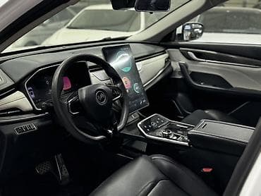 Weltmeister EX5, 2021 г. — 9