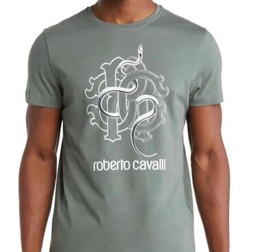 змея змеиная питон крокодил скат страус: ROBERTO CAVALLI. Футболка с круглым вырезом и змеиным принтом. roberio — 5