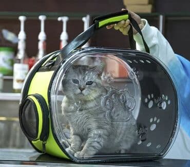 домик для котенка: Зоотовары лоток, кормушка, игрушка, лопатка комплект цена 1000 сом — 21