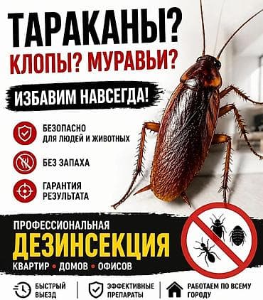 Дезинфекция, дезинсекция: Профессиональная дезинсекция квартир, домов и офисов Избавляем от — 2