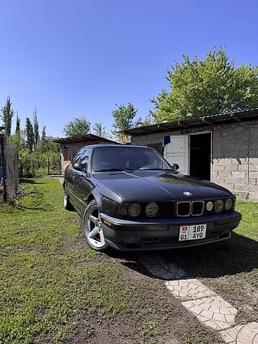 BMW 5 series: 1993 г., 2.5 л, Механика, Бензин, Седан