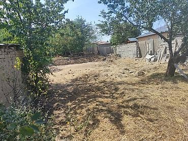 мин булак: 5 соток, Курулуш, Кызыл китеп — 4