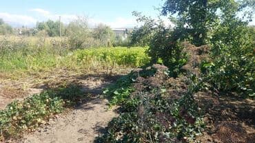 срочно продаю дом начала маевка: Дача, 35 кв. м, 3 бөлмө — 10