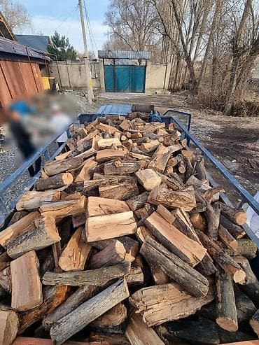 мясо верблюд: Дрова Платная доставка — 5