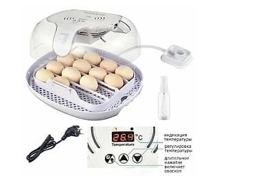 инкубационные яица: Инкубатор на 16 яиц #Инкубатор #БизнесИнкубатор — 3