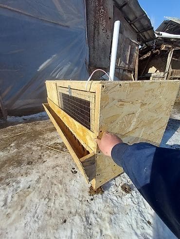 Услуги ветеринара: Жөжөлөрго Бурдерлер Жөжө Капас Бар жөжөгө Ар кыл размер ар кыл баада — 6