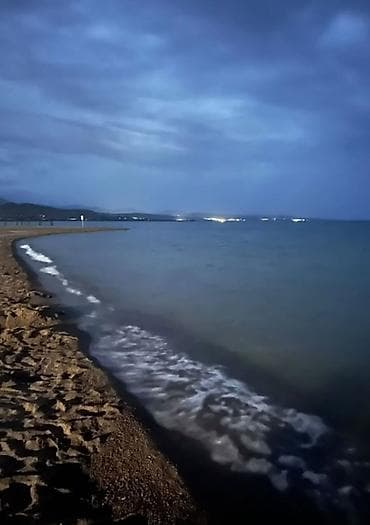 zamir: Продаю участок 10 соток. свет вода есть. Красная книга для — 2