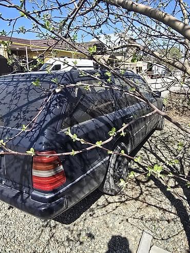 thermo king: Mercedes-Benz W124: 1988 г., Универсал — 1