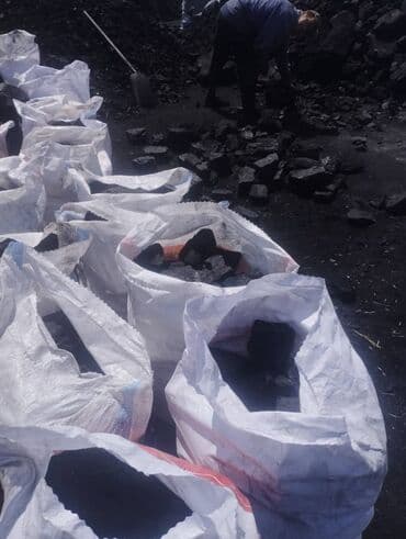 опрыскиватель садовый бишкек: Coal briquettes Акылуу жеткирүү, Өзү алып кетүү, Акысыз жеткирүү — 3