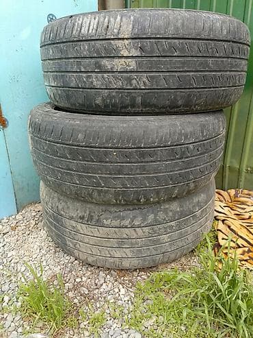 r 21: Шины 275 / 50 / R 21, Лето, Комплект, Внедорожные (АТ/МТ), Dunlop — 1