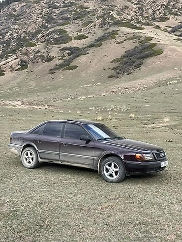 поджера спорт: Audi 100: 1992 г., 2.3 л, Седан — 3