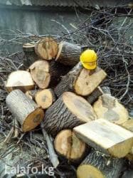 слом дома и вывоз мусора цена: Пилю дрова, небольшие деревья, выкорчевываю пни, кустарники, подрезаю — 6