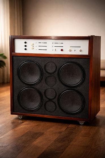 камера заднего вида на спринтер: Б/у, Инструментальный, 25 Вт, Класс: AB, Каналов: 3 — 1