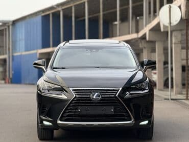 реалии: Lexus NX: 2019 г., 2.5 л, Вариатор, Гибрид, Кроссовер — 2