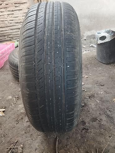 su 7: Автошина летняя 185/65 R14 + металлическая канистра/контейнер - Шина — 1