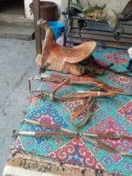 Рыбы: Срочно — 2