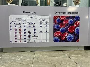 Широкоформатная печать, Высокоточная печать, | Баннеры, Наклейки