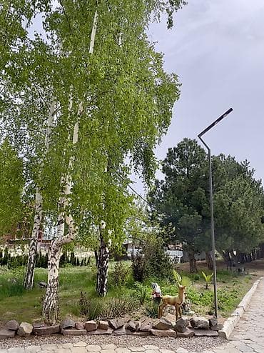 алтын казык ж м: 2 комнаты, 33 м², Элитка, 2 этаж, Дизайнерский ремонт — 10