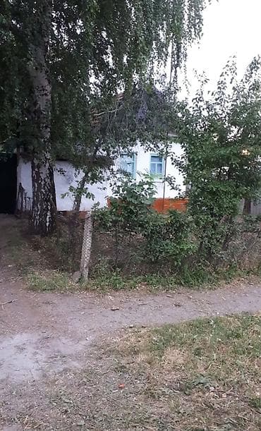 джалал абаде: Продаю дом Джаильский район.с.Сосновка по трассе Бишкек -Ош. уч-к 30 — 1