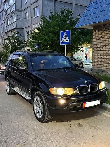 Транспорт: BMW X5: 2002 г., 3 л, Автомат, Дизель, Внедорожник — 1