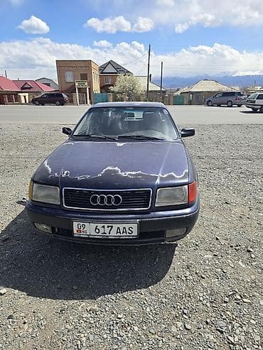 Audi 100: 1991 г., 2.6 л, Ручные, Бензин, Седан