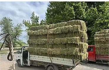 полка буу: Грузчики 24/7 звоните — 1