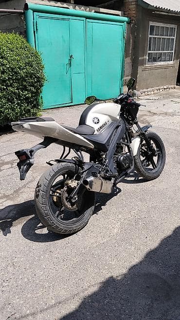 мото желмая: Naked Yamaha, 300 куб. см, Бензин, Взрослый — 2