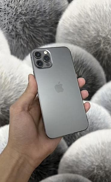 IPhone 12 Pro, Графит