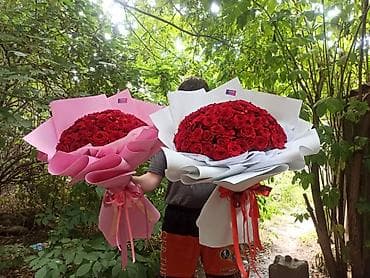 купить комнатные цветы в бишкеке: Букеты 51 роза — 5