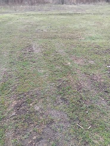 Куплю земельный участок: Для строительства — 4